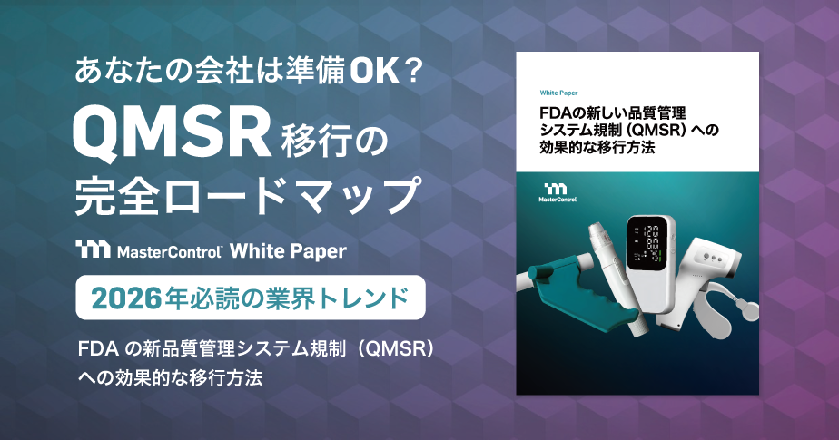 Document_LP_thumnail_QMSR